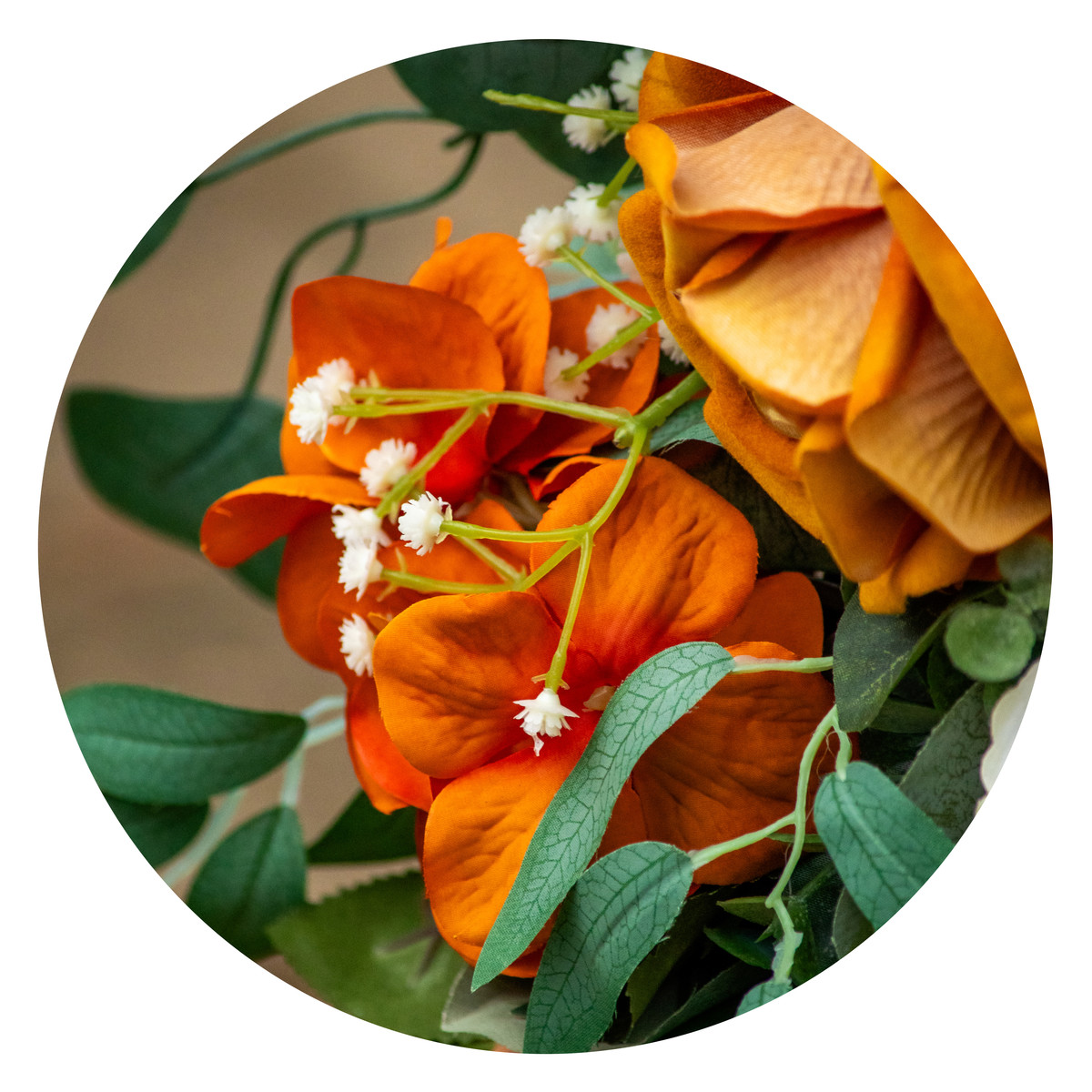 Hannah Elizabeth Photography – Wedding Photographer in Townsville, Magnetic Island, Airlie Beach, and Mission Beach