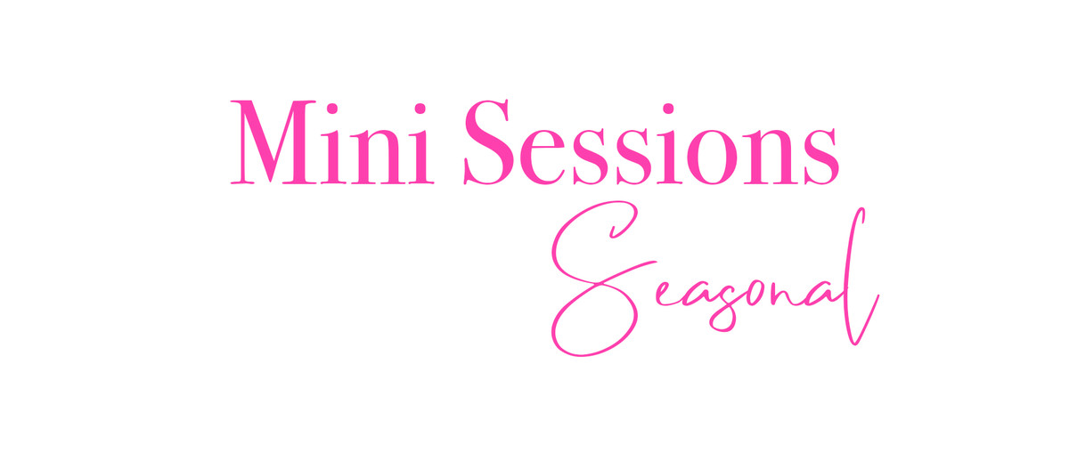 Seasonal mini sessions 